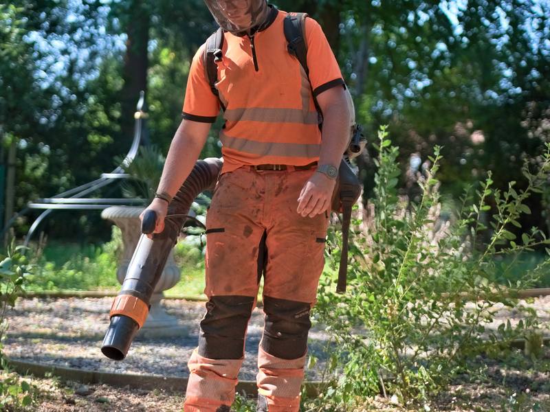 Arborist clearing arisings from a garden path with a leaf blower after pruning