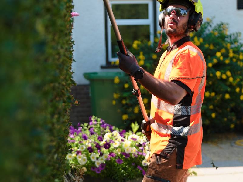Arborist using a pole saw to reduce a garden tree beside a house