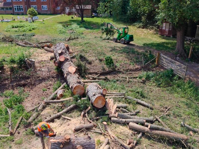Aerial view of felled timber cut into sections and stacked on a cleared site