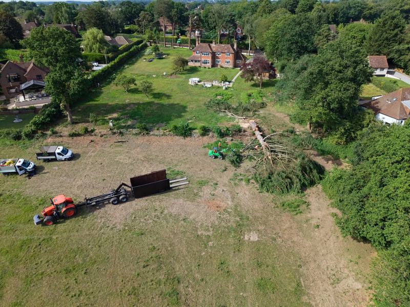 Aerial view of a site cleared after a large tree removal, with tractor and trailer