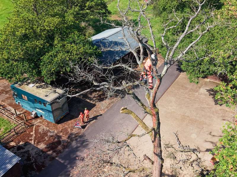 Aerial view of a large tree overhanging farm buildings being taken down in sections