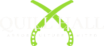 Quill Hall Arboriculture