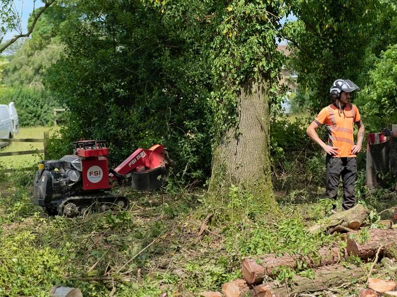 Two tree surgeons on site beside a mature tree, planning the work before starting